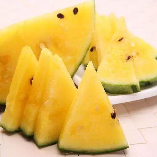 黑瓜吃料最新网,揭秘网络新潮流，带你领略最新资讯盛宴