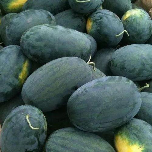 黑料吃瓜群ss688,一场网络狂欢的幕后故事