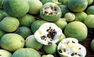 9l视频吃瓜黑料一区二区,一区二区吃瓜黑料大揭秘