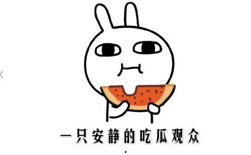 今日黑料吃瓜热点事件,吃瓜群众热议的惊天事件大揭秘！