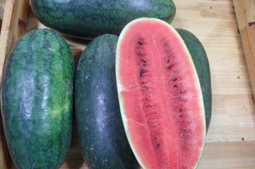 黑料正能量网红吃瓜群,揭秘网红吃瓜群的神秘世界