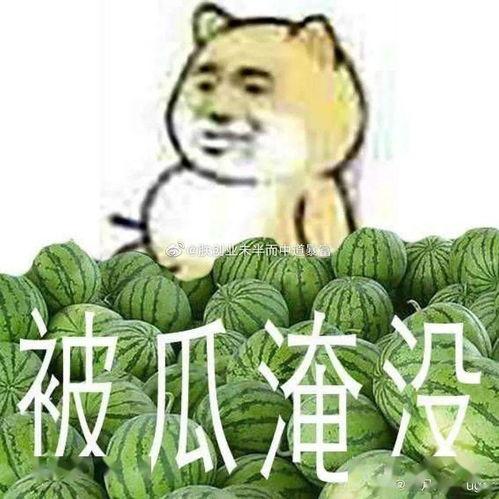 反差黑料吃瓜网正能量不用下